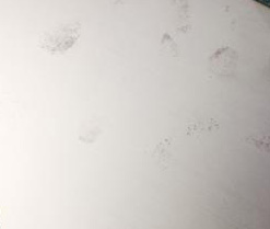 多晶硅清洗